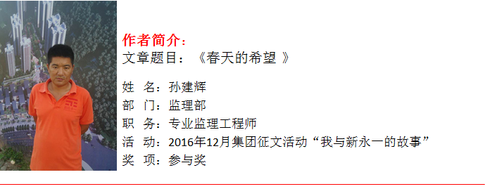 NG体育·(中国)官方网站-NG SPORT