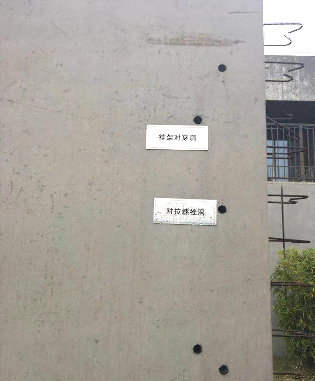 NG体育·(中国)官方网站-NG SPORT